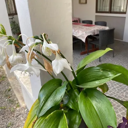 Gardenia Apartments Pereybere Beach Exterior photo