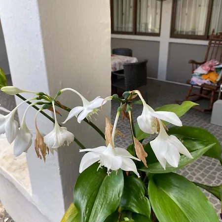 Gardenia Apartments Pereybere Beach Exterior photo