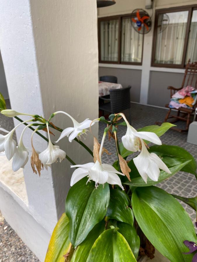 Gardenia * Pereybere Beach